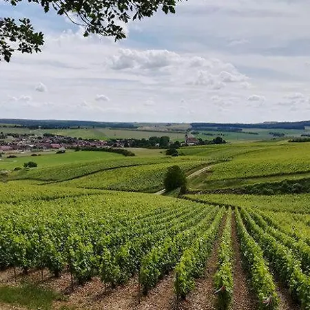 Domaine L'etang D'ananda Couette-café *