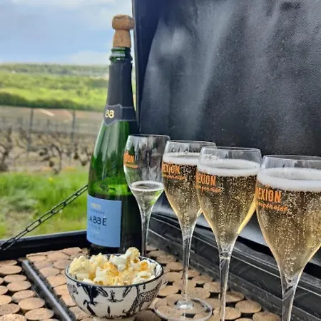 Domaine L'etang D'ananda * Villacerf